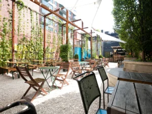 Threes Brewing backyard beer garden with outdoor seating and greenery in Gowanus, Brooklyn